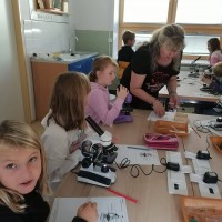 Přírodovědný workshop pro 4. třídu ZŠ TGM Vimperk