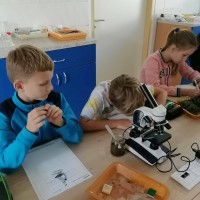 Přírodovědný workshop pro 4. třídu ZŠ TGM Vimperk