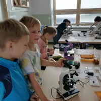 Přírodovědný workshop pro 4. třídu ZŠ TGM Vimperk