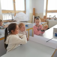 Přírodovědný workshop pro 4. třídu ZŠ TGM Vimperk