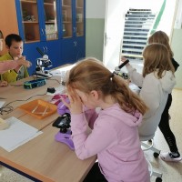 Přírodovědný workshop pro 4. třídu ZŠ TGM Vimperk