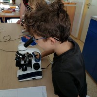 Přírodovědný workshop pro 4. třídu ZŠ TGM Vimperk